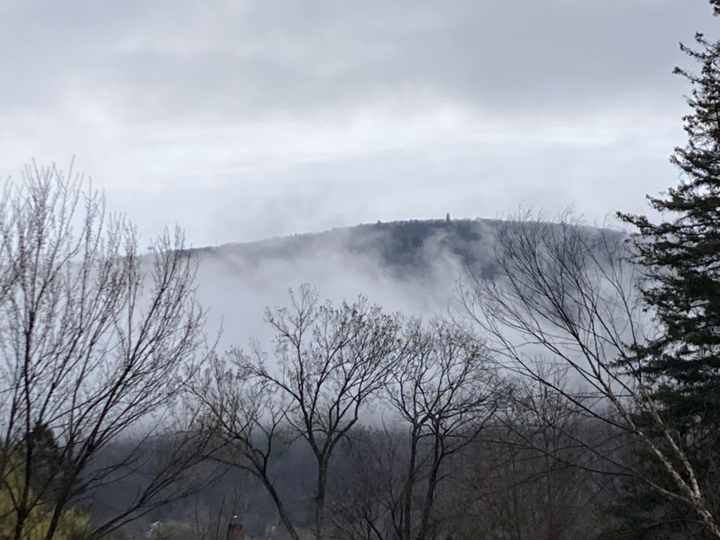 A low-relief New England mountain rising from the mists, crowns of maple trees in the foreground.
