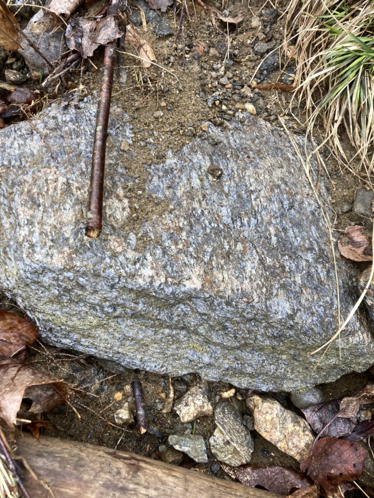 A closeup of a piece of shiny mica schist on the ground