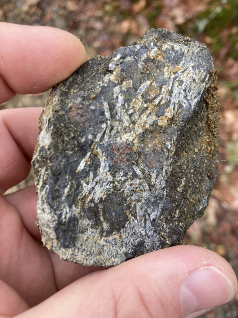 A small rock being held in a hand.  The rock has several radiating, white bladed minerals mixed in with garnet