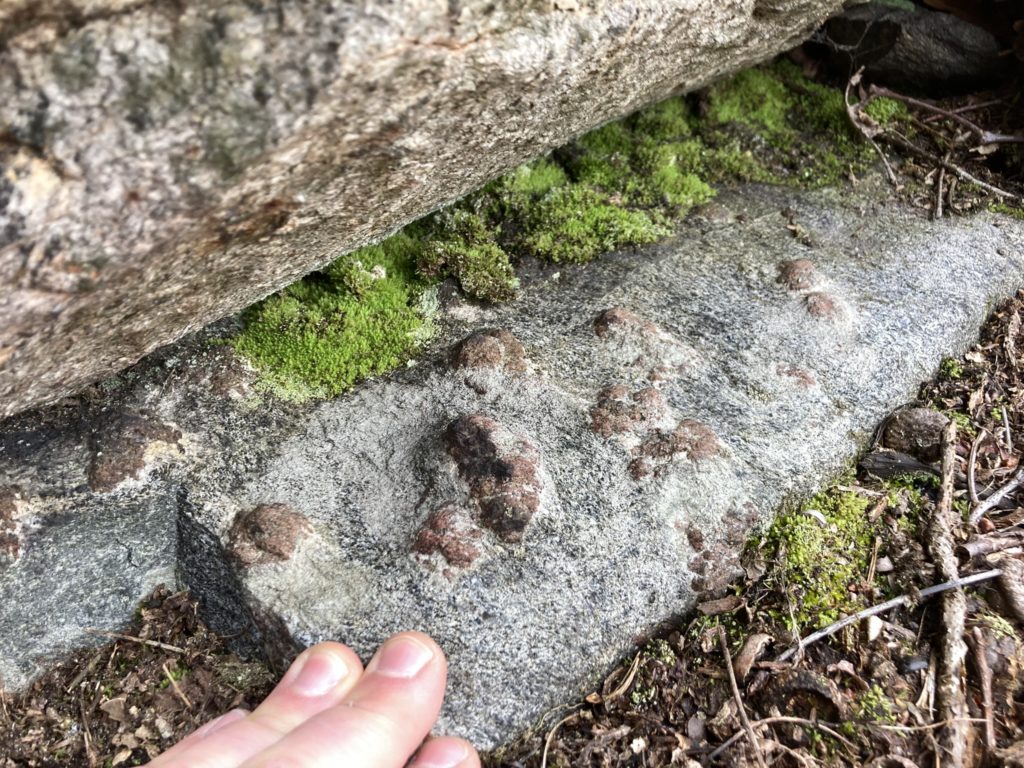 Grungy garnets along an exposed face of bedrock at the top of the mountain