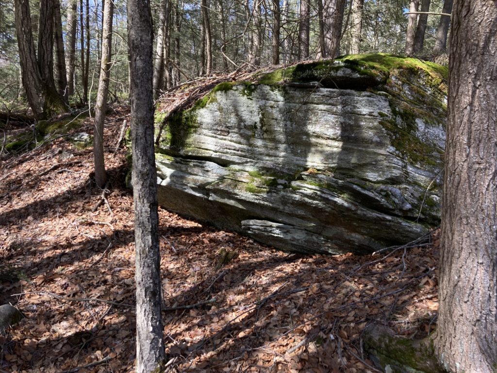 A well layered rock outcrop in the middle of the woods, shadows of branches and trees playing across its surface.